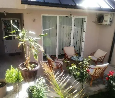 Trajkovic * Vranje